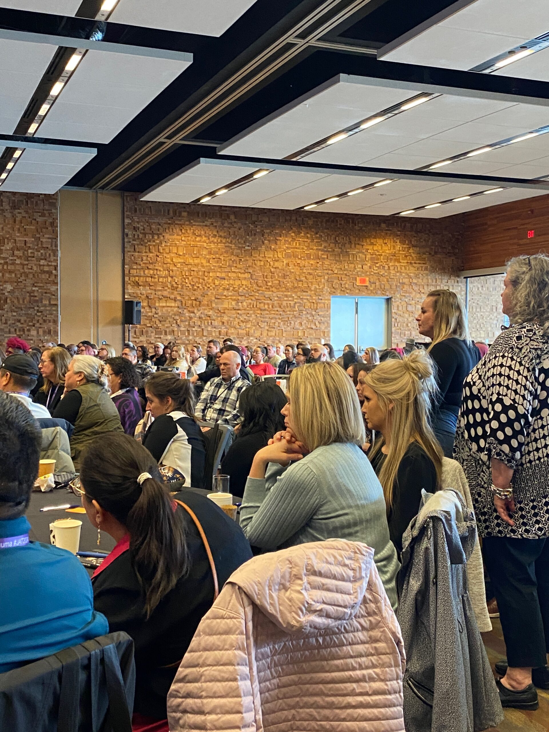 A full room at the Justice as Trauma Summit